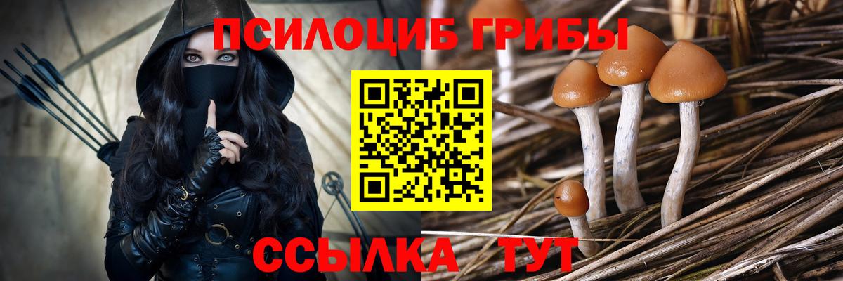 Галлюциногенные грибы прущие грибы Омск